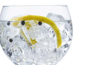 Undici modi diversi di servire e bere gin