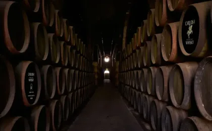 Fûts de vin de Jerez dans une bodega traditionnelle liés au vieillissement du whisky