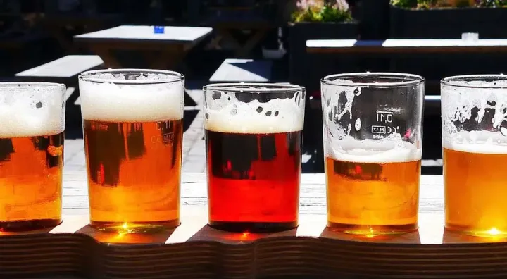 Cerveza ale vs cerveza lager: producción y perfiles