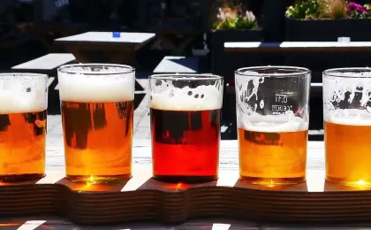 Cerveza ale vs cerveza lager: producción y perfiles