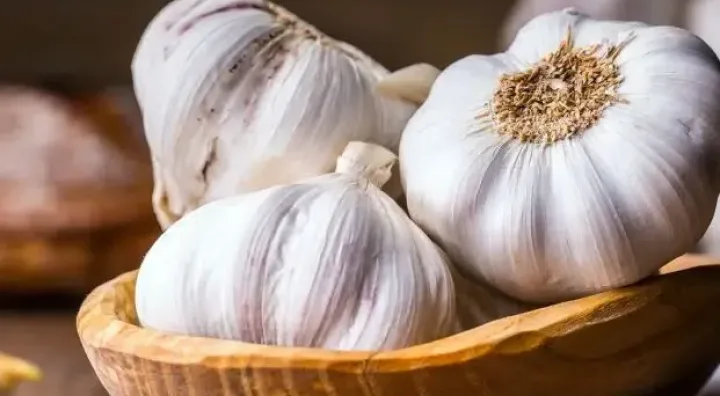 Homemade garlic tincture prepared with garlic macerated in food alcohol