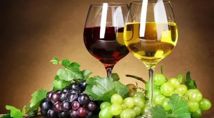 Immagine storica legata al vino e alla sua relazione culturale con Cuba
