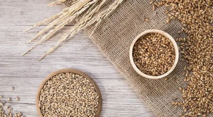 Mälzprozess von Bier Schritt für Schritt Gerstenkörner und Malz als Grundlage für den Mälzprozess von Bier