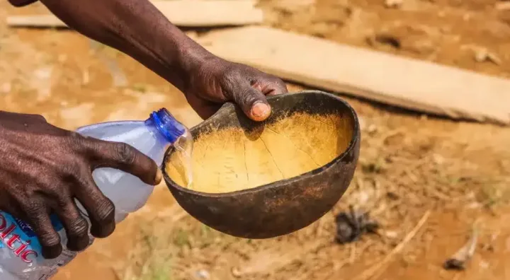 Matango palm wine served as a traditional Cameroonian drink