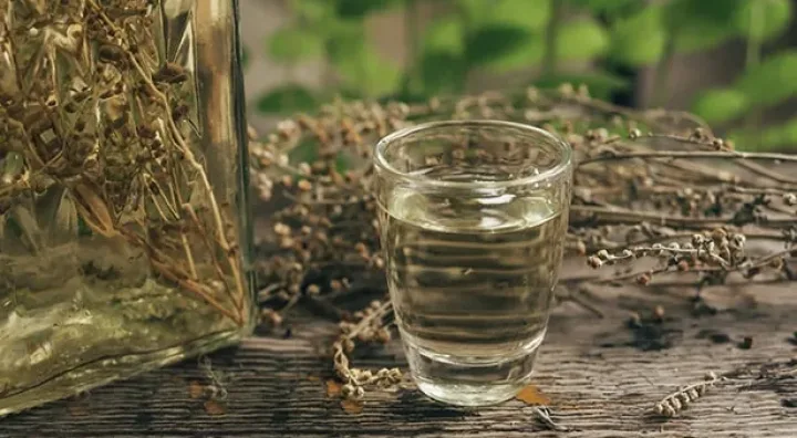 Flasche kroatischer Rakija Travarica mit aromatischen Kräutern