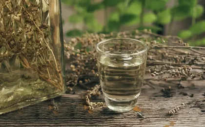 Bottiglia di Rakija Travarica croata preparata con erbe aromatiche