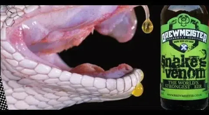 Bottle of Snake Venom beer by BrewMeister, known for its high alcohol strength