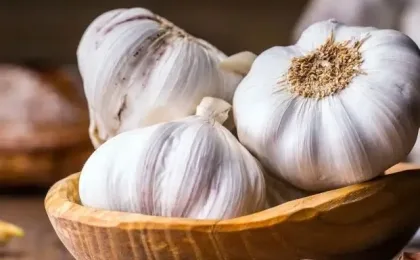 Teinture d’ail maison préparée avec de l’ail macéré dans alcool alimentaire