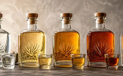 Tequilagläser neben einer blauen Agavenpflanze serviert