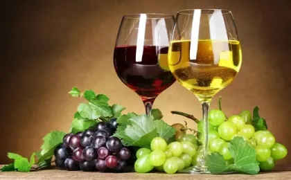 Historisches Bild zu Wein und seiner kulturellen Verbindung mit Kuba