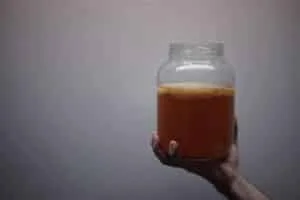 Aloja de chaucha