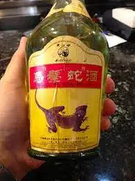  lizard liquor