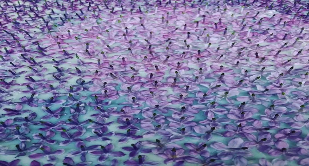 el enflorado