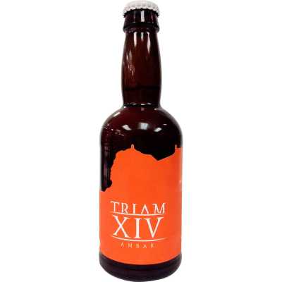Triam Amber Ale 33 CL - Craft Beer from Alicante