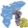 Historia del Vino de Alicante