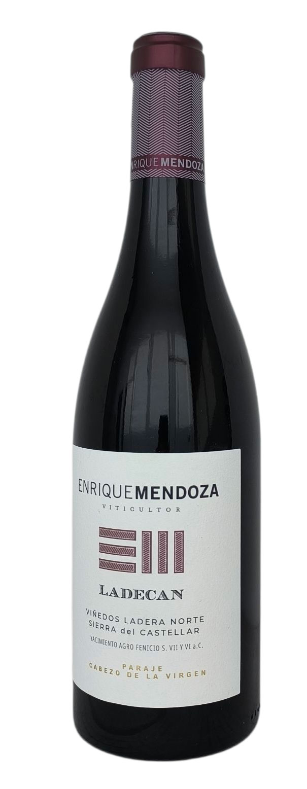 Enrique Mendoza Ladecan 2024