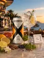 Seventeen 1724 Tonic Water (24 Dosen) - Produkt-Miniaturbild 3 des Produkts