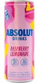 Absolut Mix Raspberry & Lemon 25 CL (12 latas) - Vignette du produit