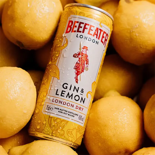 Beefeater Gin &amp; Lemon 25 CL (12 cans) - Image 2 of the product
