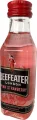 Beefeater Pink 5 CL - Product thumbnail