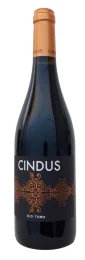 Cindus 2022