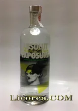 Absolut Exposure Modelo 3 1 Litro