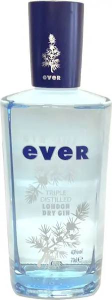 Gin Ever - Fotografía principal del producto