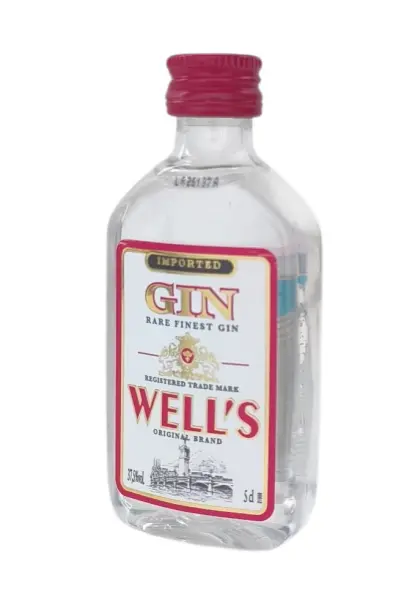 Gin Well's 5 CL - Main product photo