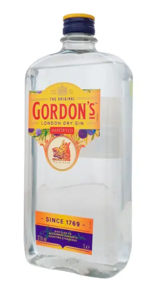 Gordon's 1 Litro Plástico - Fotografía principal del producto