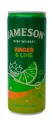 Jameson Ginger Ale & Lime 25 CL (12 latas) - Vignette du produit