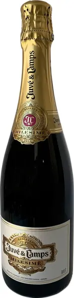 Juvé & Camps Milesimé - Hauptproduktfoto