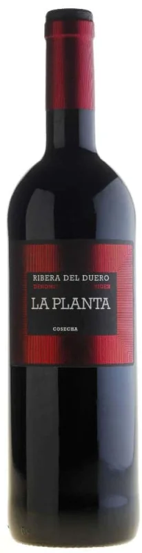 La Planta Roble 2023 - Fotografía principal del producto