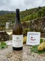 Merayo Godello 2025 Bierzo - Miniatura del producto 2 del producto