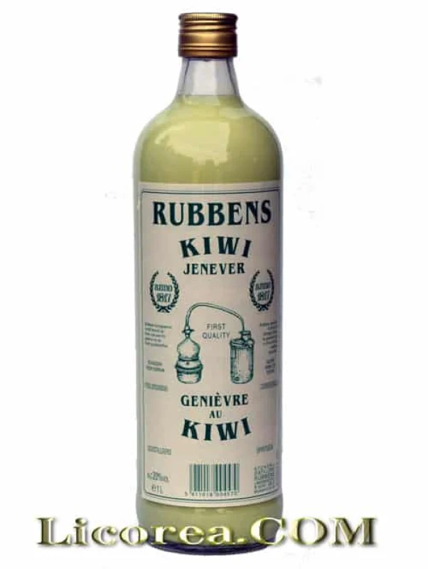 Ginebra Rubbens con Crema de Kiwi (Holanda) 1 Litro - Fotografía principal del producto