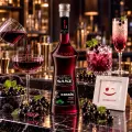 Cassis Sanz - Product thumbnail 2 of the product