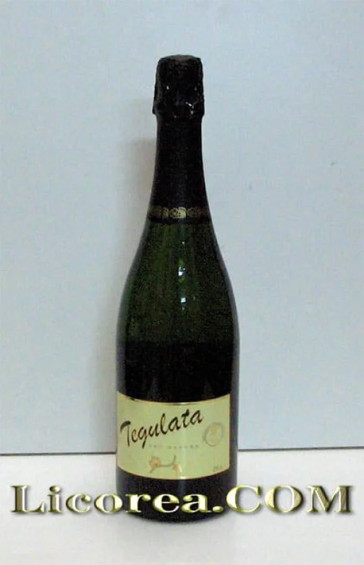 Alicantino Champagne- Tegulata Brut Nature - Main product photo