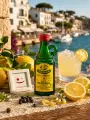 Pomada Xoriguer 5 CL - Miniatura del producto 2 del producto