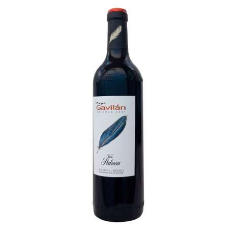 Cepa Gavilan Crianza 2021