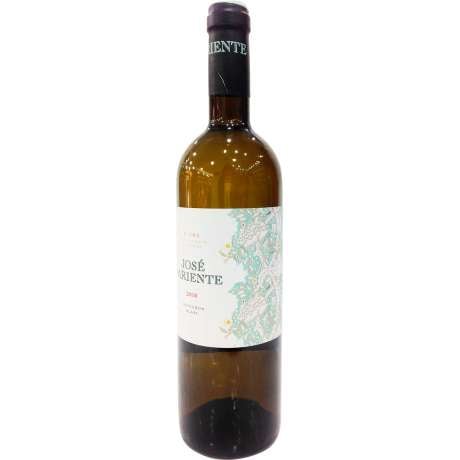 José Pariente Sauvignon Blanc 2023