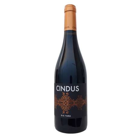 Cindus 2020