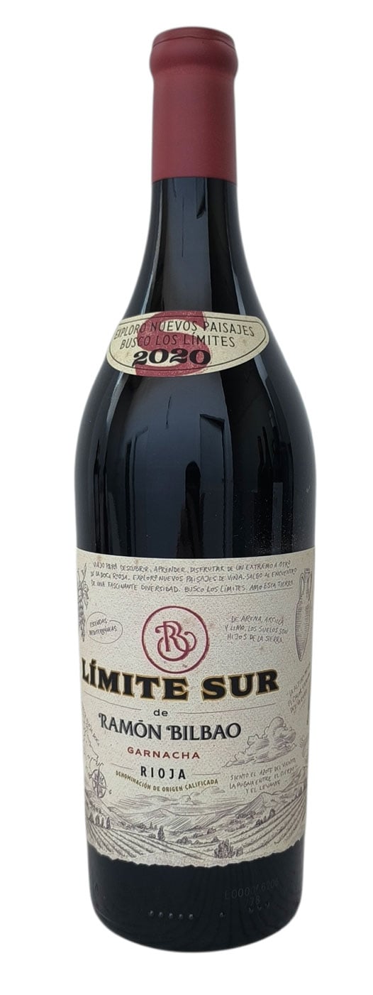 Ramón Bilbao Límite Sur 2020