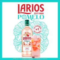 Nuevo Larios Pomelo
