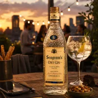 Ginebra Seagrams 70 CL por tiempo limitado