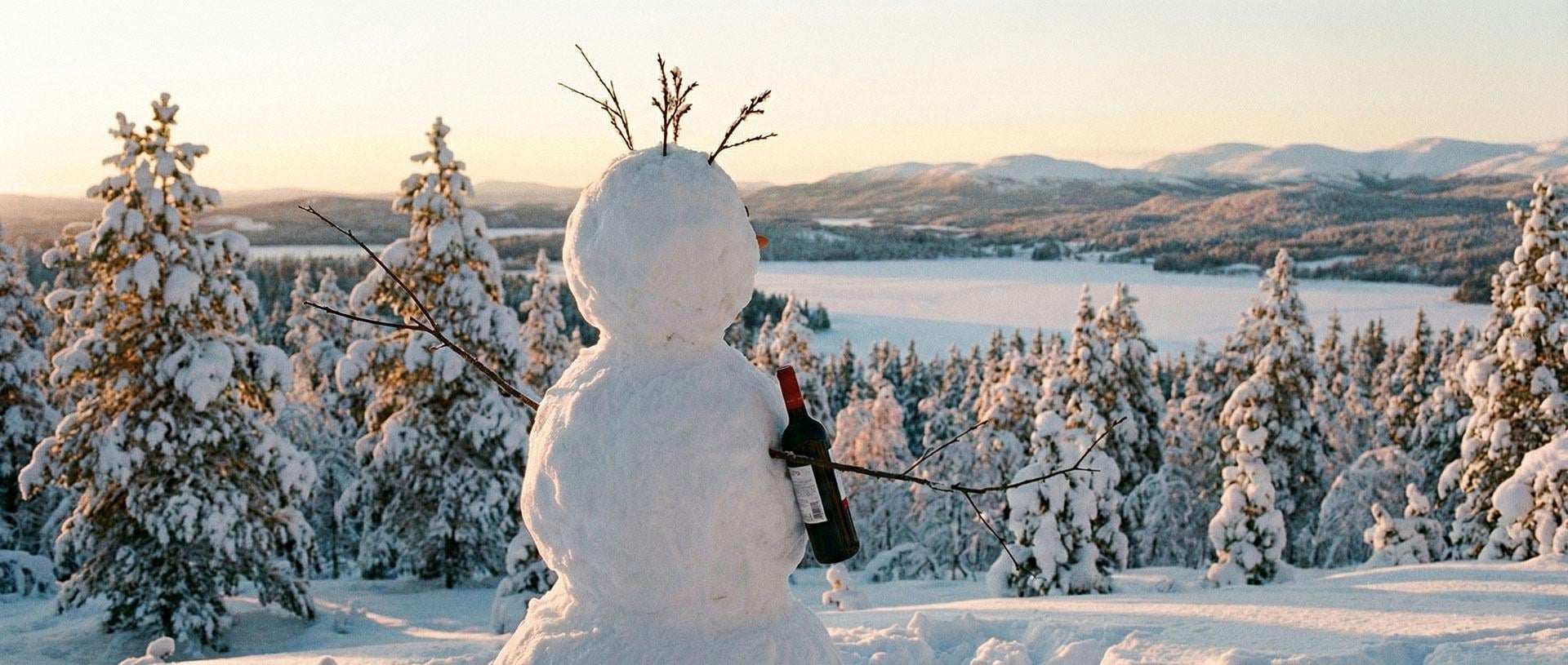 El mejor remedio contra el frío: nuestros vinos